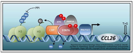 Epigenetic visual element. Epigenetic visual element.